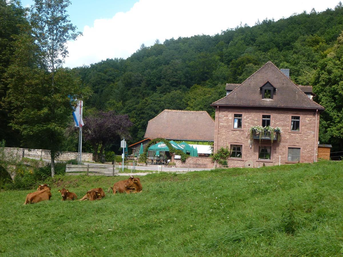 Hotelgasthof Buchenmuehle Lohr Eksteriør bilde